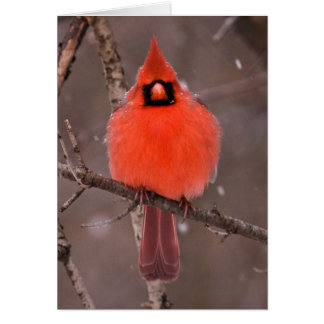 Vinterupplag Hälsningskort