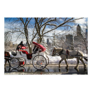 Vintervagnshästar i Central Park Fototryck