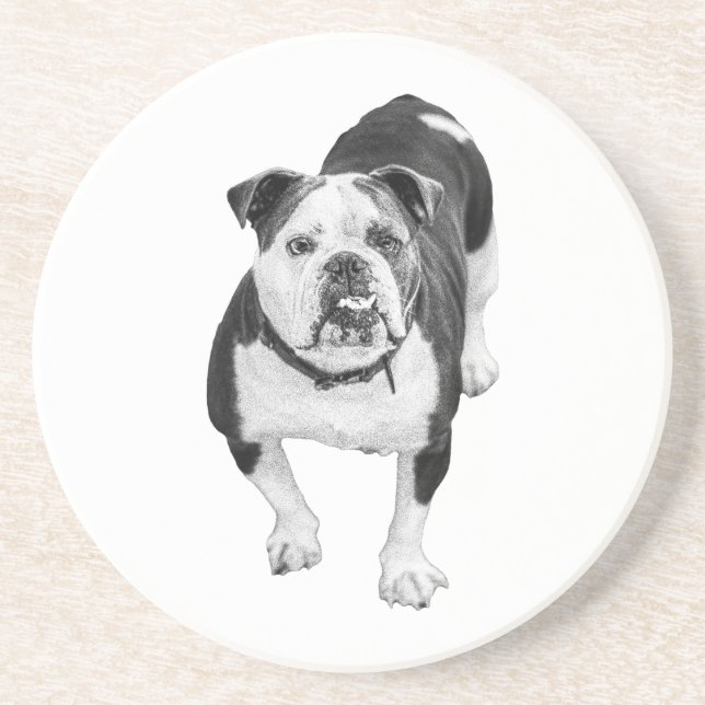 Vintervän, Bulldoggdrickgardin Underlägg (Framsidan)