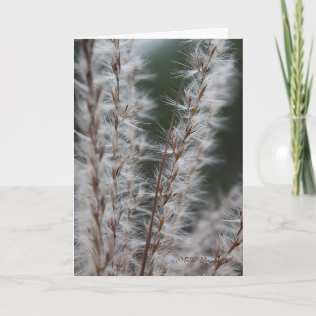 Vintervete Kort (Framsida)