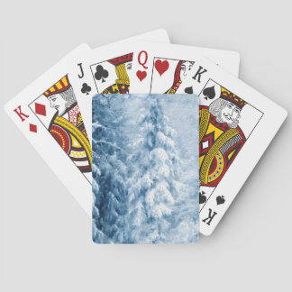 Vintervikter Casinokort