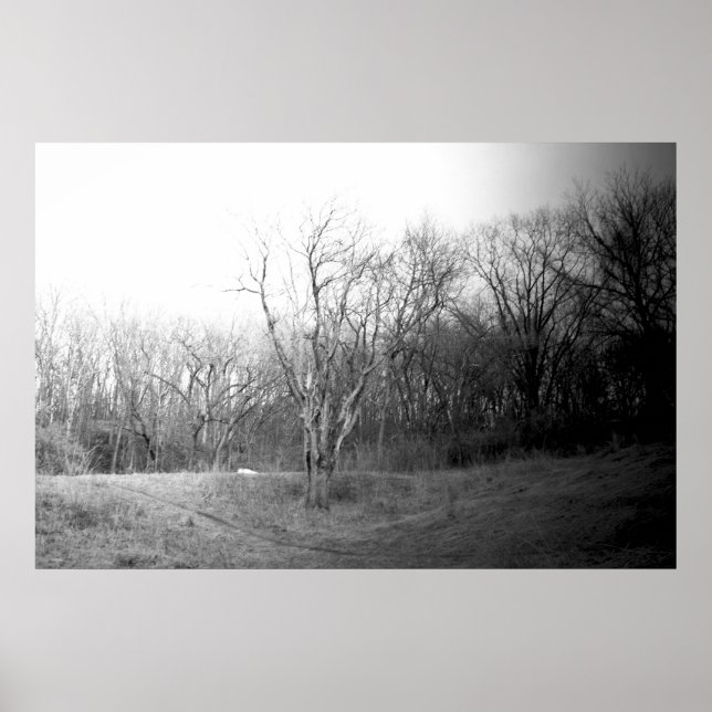 VinterVind Poster (Framsidan)