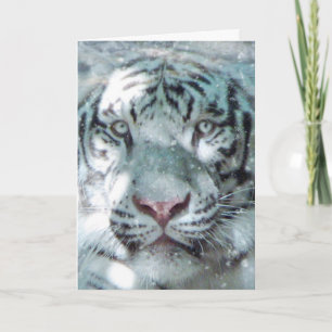 Vintervit Tiger Helgkort