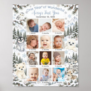 Vintervonderland Arktiska djur Första året Foto Poster