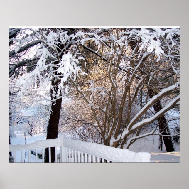 Vintervy Snö från frontporten Poster (Framsidan)