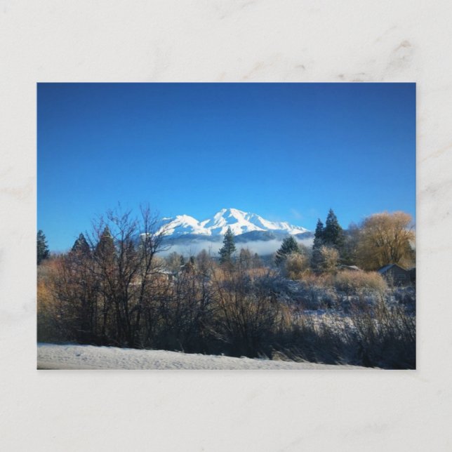 Vintervy vid Mount Shasta, CA Vykort (Framsida)