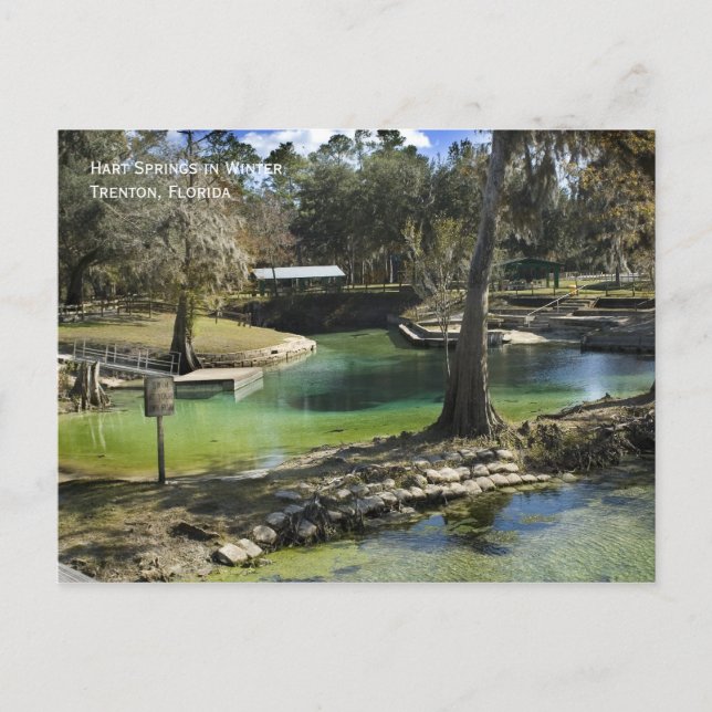 Vintervykort för Vår Vykort (Framsida)