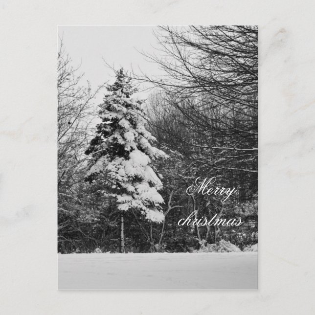 Vintervykort Helg Vykort (Framsida)