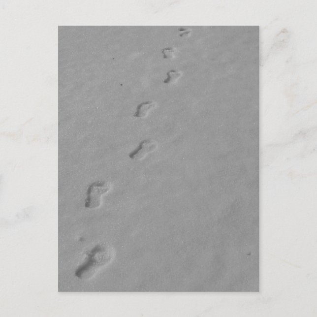 Vintervykort! Vykort (Framsida)