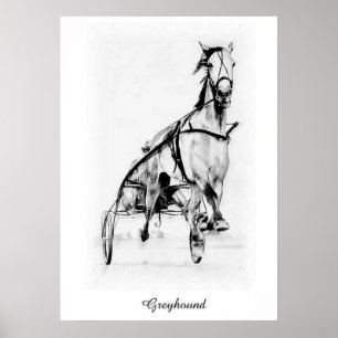Vinthund Poster