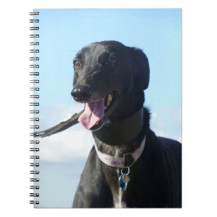 Vinthundanteckningsbok (P001) Anteckningsbok