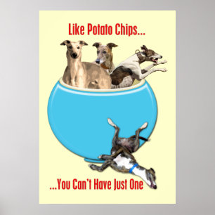 Vinthundar gillar potatischiper poster