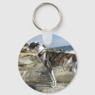 Vinthunden fotograferar Keychain Nyckelring