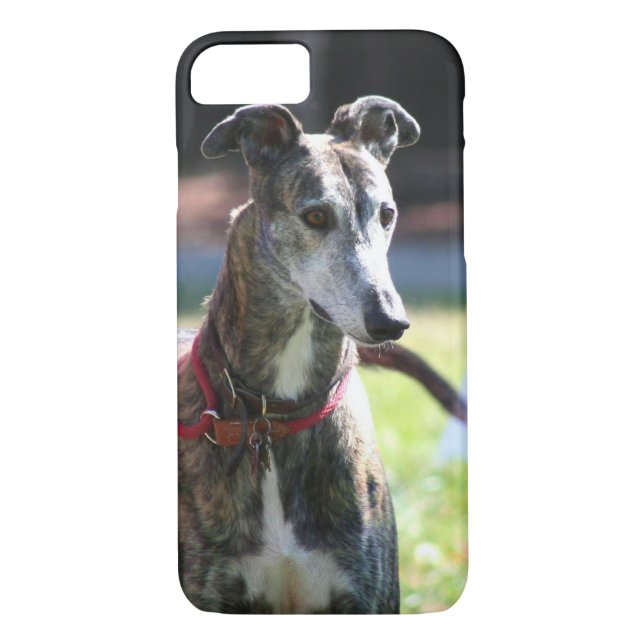 Vinthundhund Case-Mate iPhone Skal (Baksida)