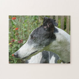 Vinthundpussel (p101) pussel