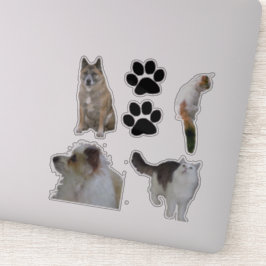 Vinyl Sticker - Katt och Hundar Klistermärken