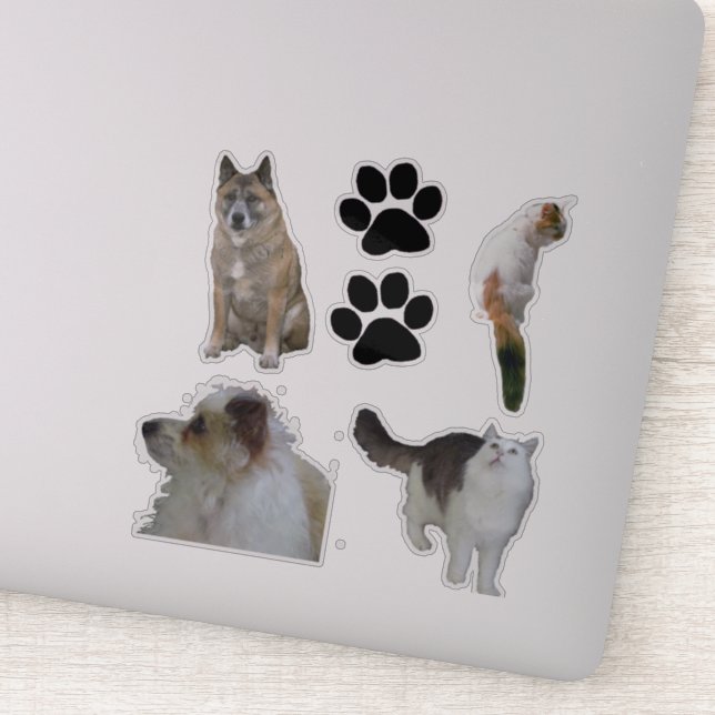 Vinyl Sticker - Katt och Hundar Klistermärken (Detalj)