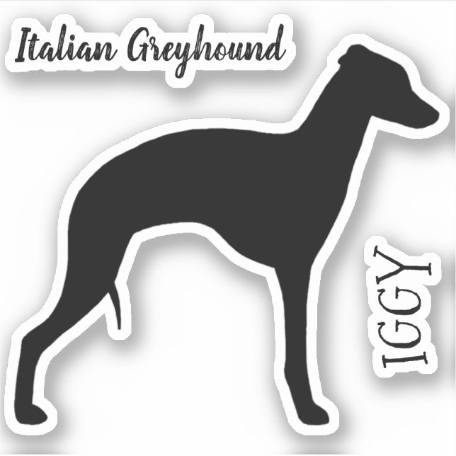 Vinyl Sticker-profilen Vinyl Sticker Klistermärken (Framsida)