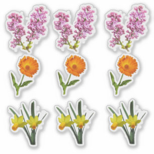 Vinyldekal - Vårblommor Klistermärken