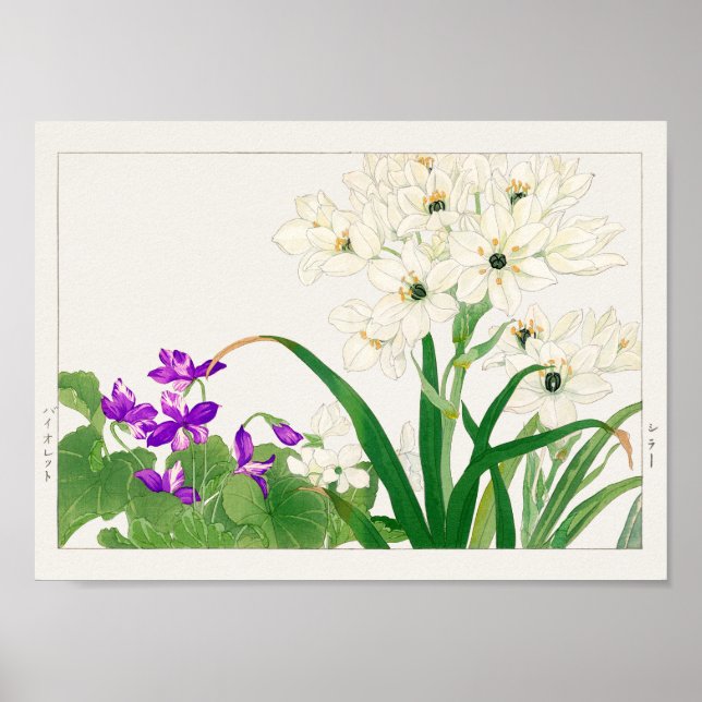 Viola, arabisk stjärnblomma av Tanigami Konan Poster (Framsidan)