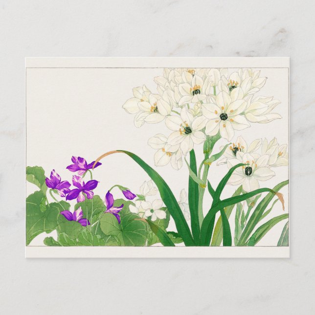 Viola, arabisk stjärnblomma av Tanigami Konan Vykort (Framsida)