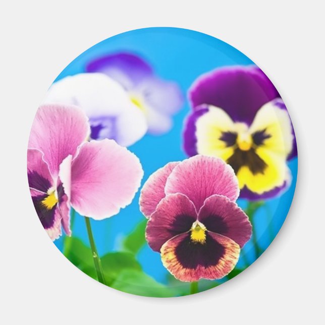 Viola blommor Magnet (Framsidan)