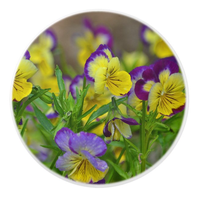 Viola Ceramic Knob Knopp (Framsidan)