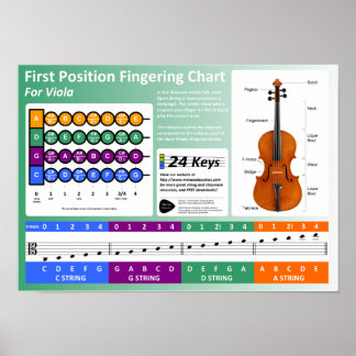 Viola Fingering Chart Poster