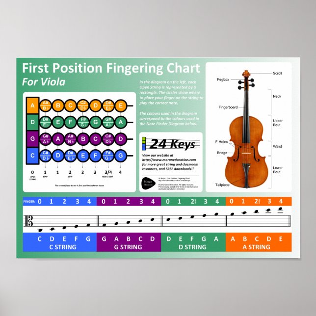 Viola Fingering Chart Poster (Framsidan)