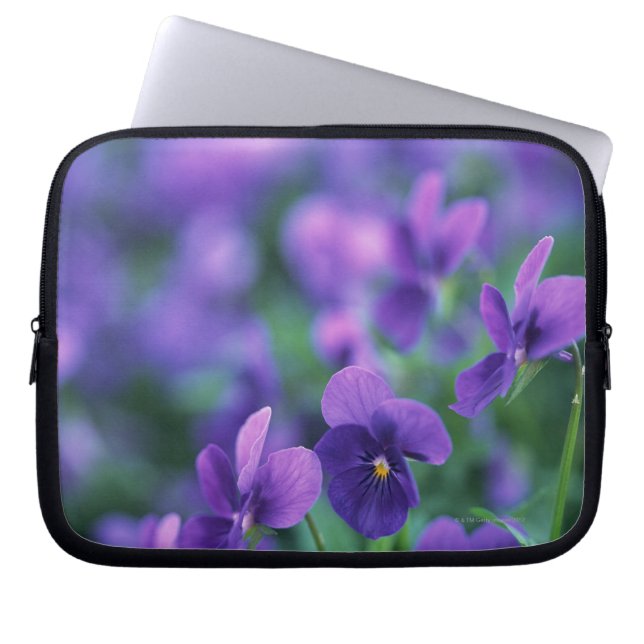 Viola Laptop Sleeve (Framsidan)