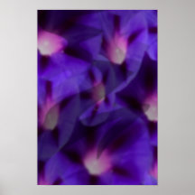 Viola Skys