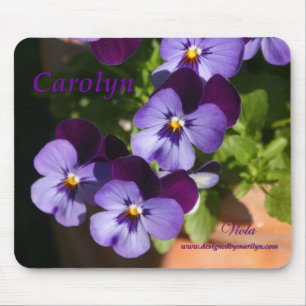 Violamusen vadderar Carolyn Musmatta
