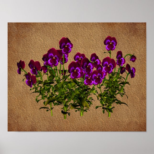 Violas On Åldras Papper Blommigt Art Poster (Framsidan)