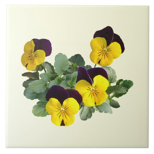 Violas Sorbet Yellow Jump Up Kakelplatta (Framsidan)