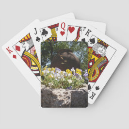 Violer i en stentrog. casinokort