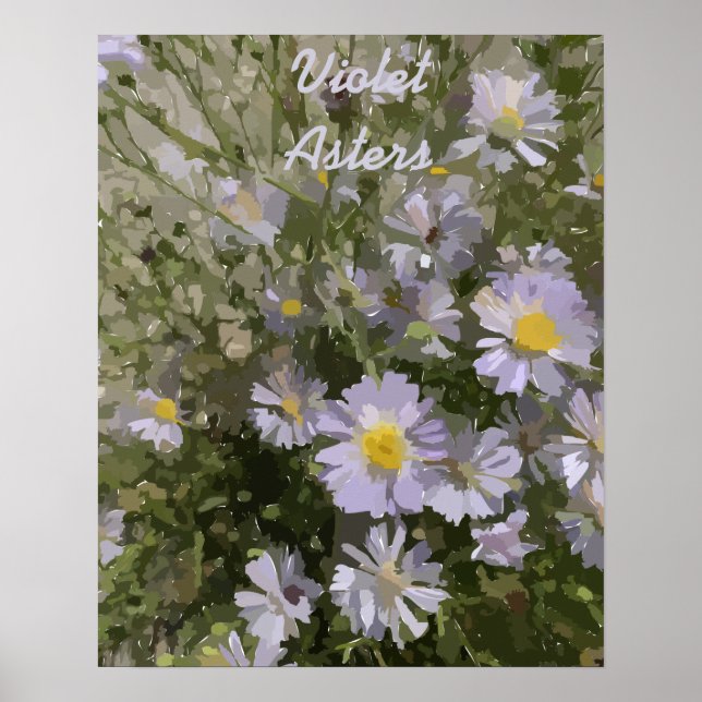 Violet Asters Poster (Framsidan)
