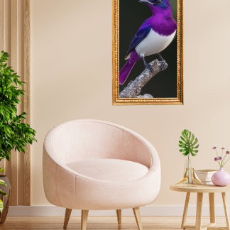 Violet-backed Starling Poster