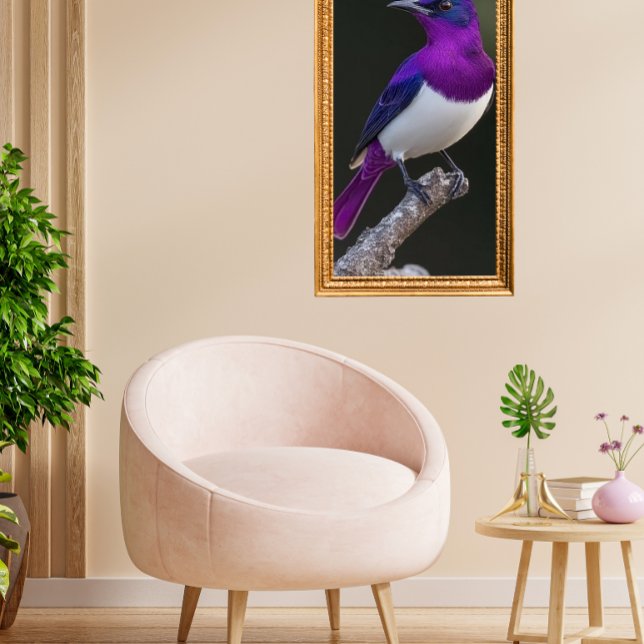 Violet-backed Starling  Poster (Skapare uppladdad)