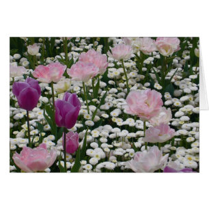 Violet bland Blekens Rosa Hälsningskort