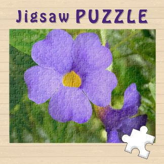 Violet blomma blommar estetisk Foto - Pussel