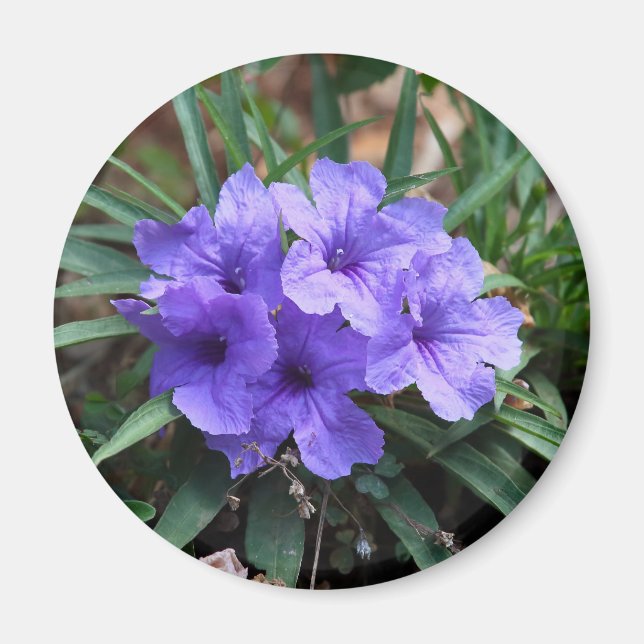 Violet Blommor Magnet (Framsidan)