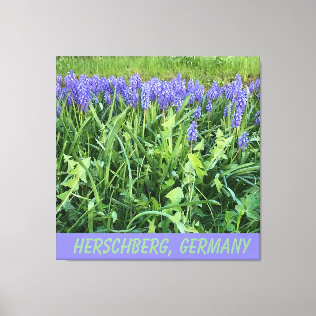 Violet Bluebell Canvastryck (Framsida)