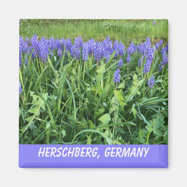 Violet Bluebell Magnet (Framsidan)
