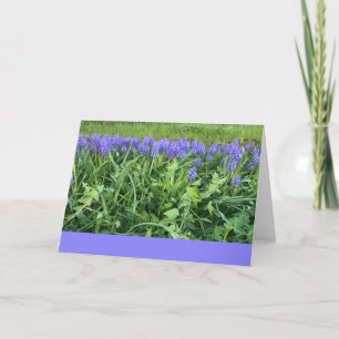 Violet Bluebells Fotografi - Herschberg, Tyskland Kort