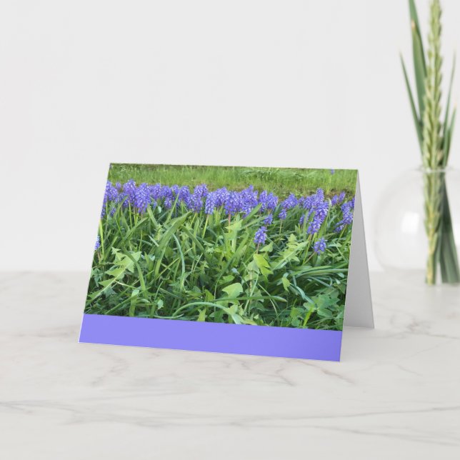 Violet Bluebells Fotografi - Herschberg, Tyskland Kort (Framsida)