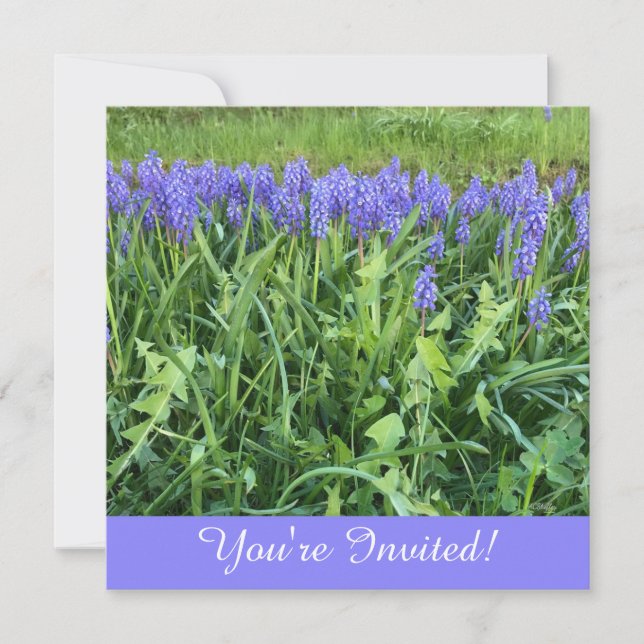 Violet Bluebells Photography Note Card Anteckningskort (Framsida)