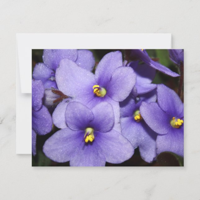 Violet Boquet Inbjudningar (Framsida)