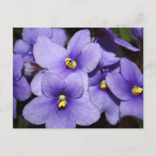 Violet Boquet Inbjudningar