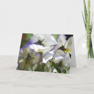 Violet Card Kort