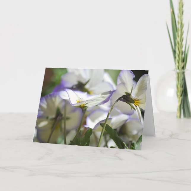 Violet Card Kort (Framsida)